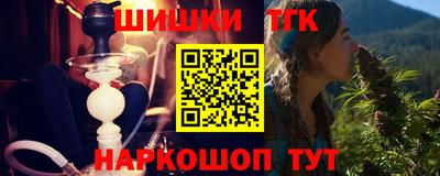 индика Сланцы