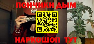 индика Сланцы