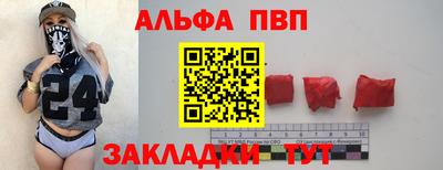 индика Сланцы