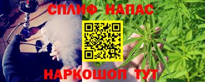 индика Сланцы