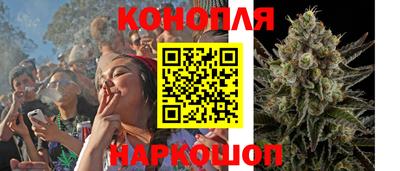 индика Сланцы