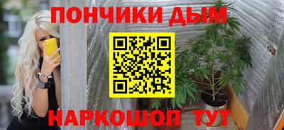 индика Сланцы