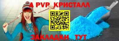 индика Сланцы