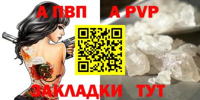 индика Сланцы
