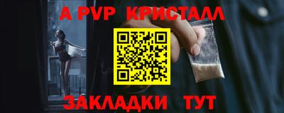 индика Сланцы