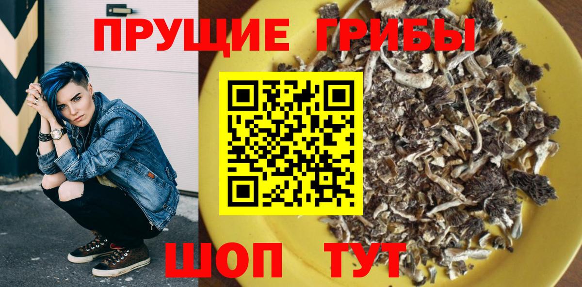 продажа наркотиков  Вход с VPN  Отрадный  Галлюциногенные грибы GOLDEN TEACHER 