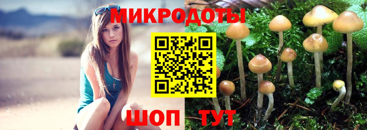 Галлюциногенные грибы прущие грибы Отрадный